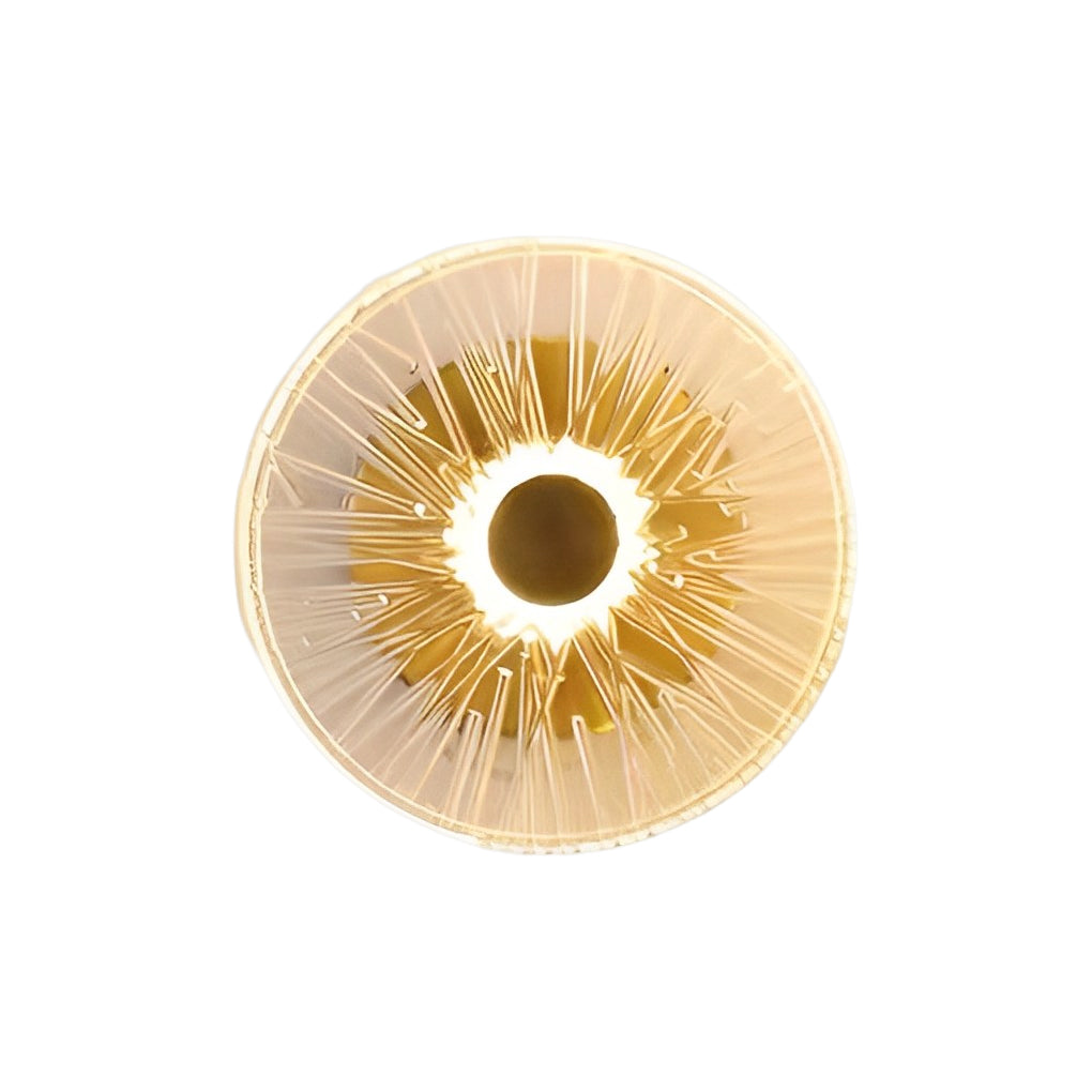 Creative Round Glass Luxury LED Personality Post-Modern Wall Light Fixture