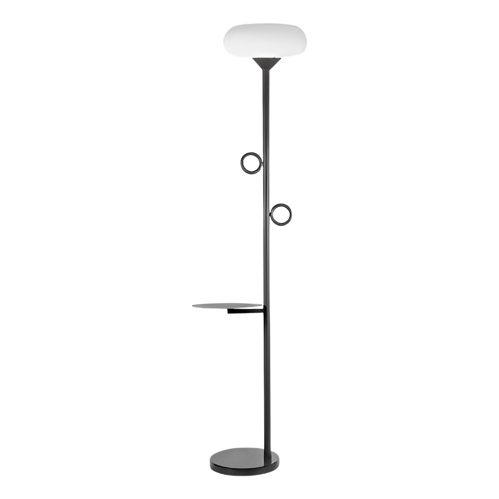 Remote Control LED Outdoor Rod Floor Accent Lamp