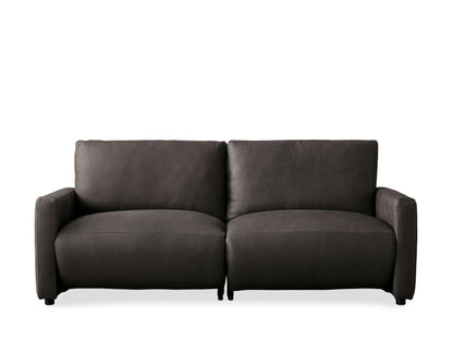 Kaz Leather Motion Sofa