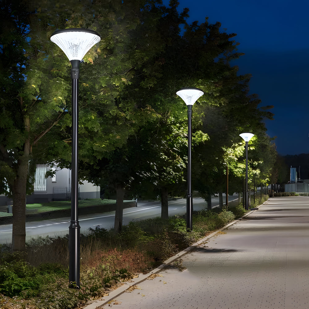 1-Light Black Outdoor LED Solar Lamp Post and Pole Street Light