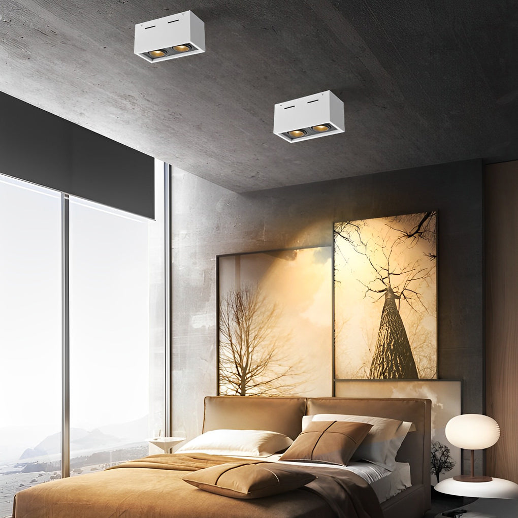 Rectangular 2 Lights Adjustable LED Modern Surface Mounted Spotlights