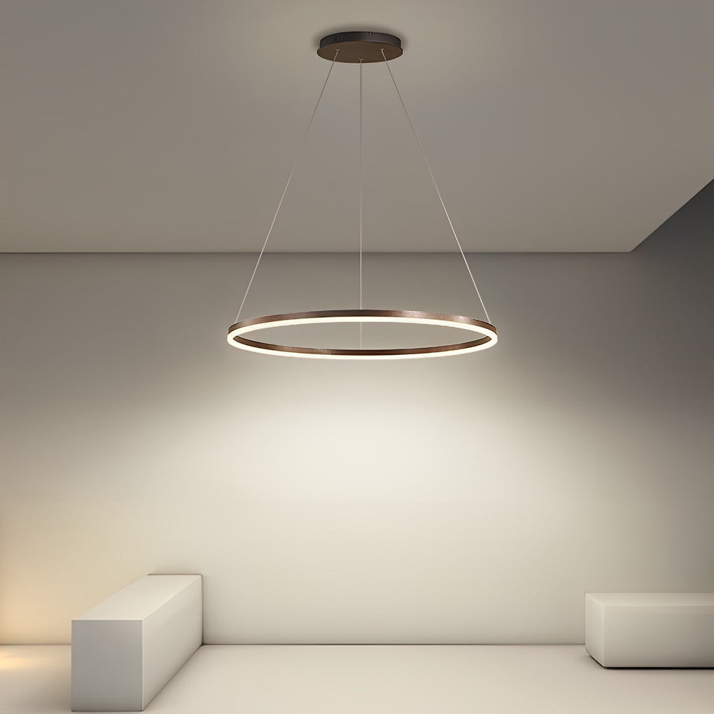 16'' Simple Circle Single Pendant Light Acrylic Pendant Lighting