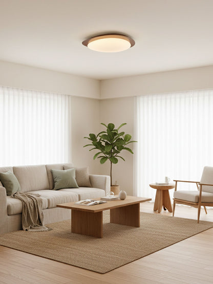 Pebble Ceiling Light