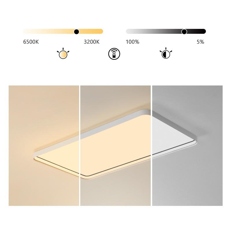 35'' Rectangular LED Modern Flush Mount Lighting for Living Room