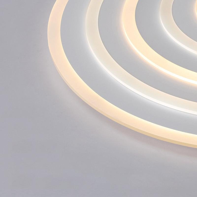 Concentric Circles Modern Flush Mount Light Dimmable LED Ceiling Lights