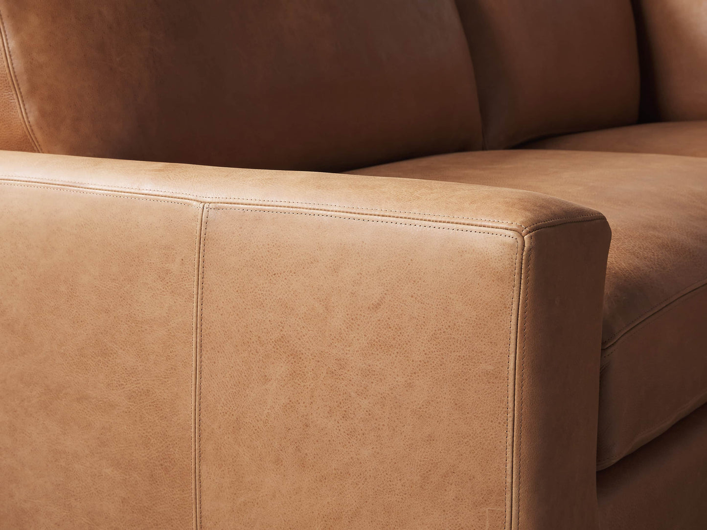 Remington Leather Two-Piece Sectional
