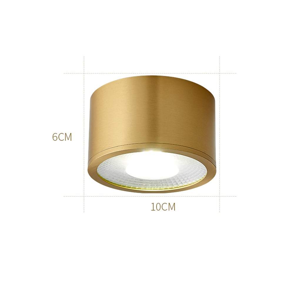 Cylindrical Copper Brass LED Modern Ceiling Light Flush Mount Lighting