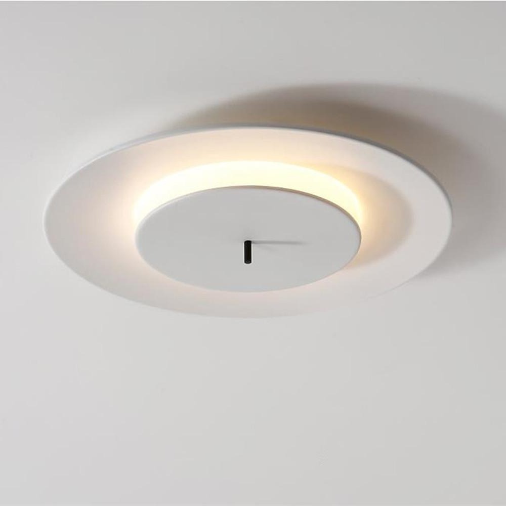 2 Circles LED Modern Flush Mount Lighting Ceiling Lights Hanging Light