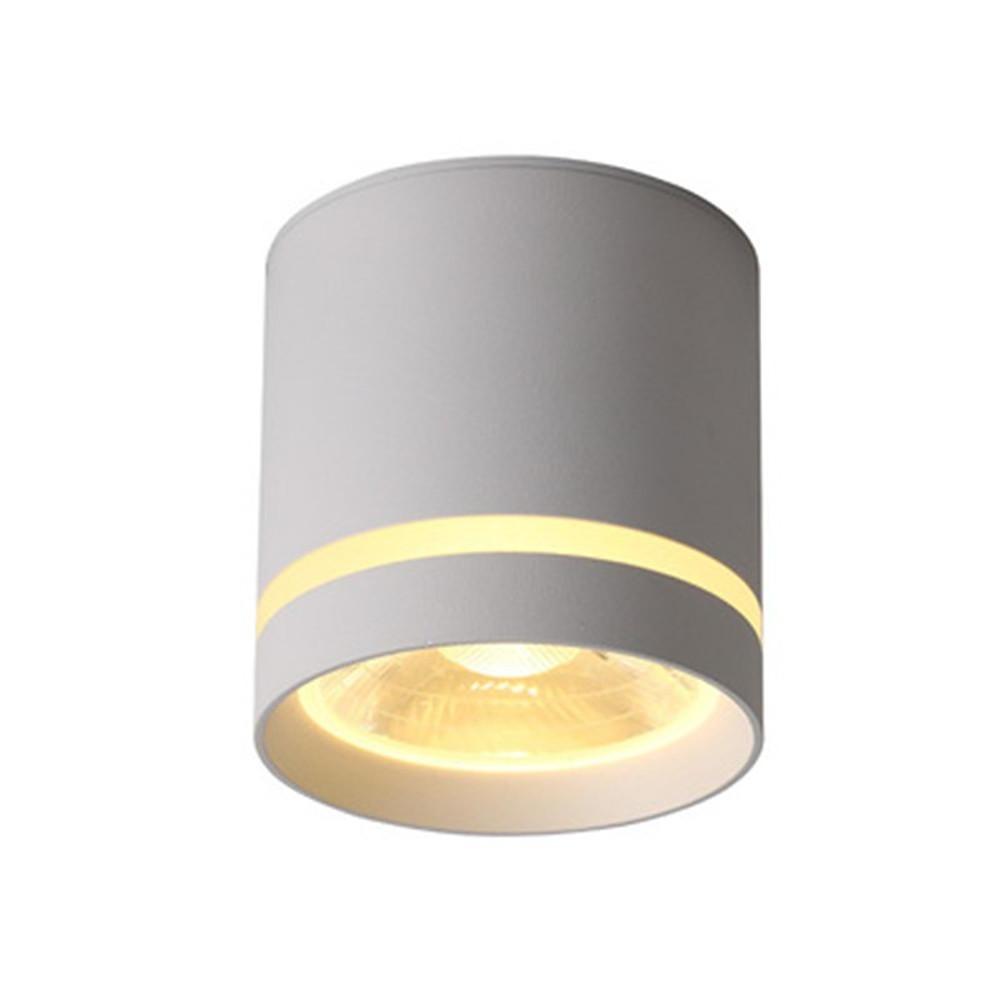 Cylindrical Shapes LED Modern Ceiling Lights Flush Mount Lighting